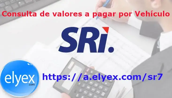SRI Consultar valor a pagar Matrícula Vehicular Ecuador Propietario