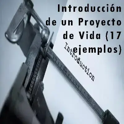 Introducción de un Proyecto de Vida (17 ejemplos)