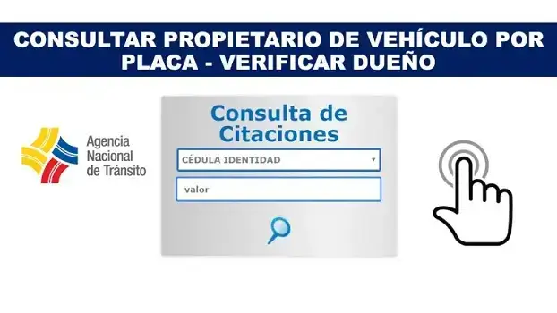 Buscar propietario de vehículo por placa
