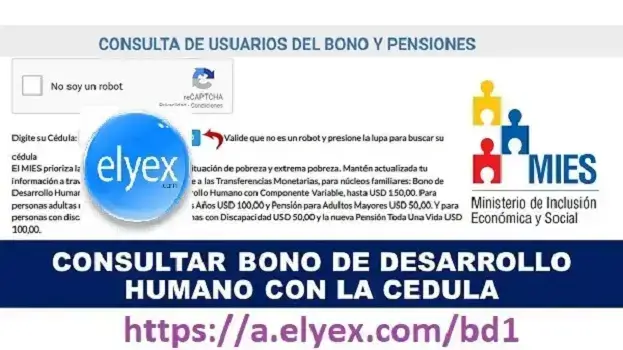 Consultar Bono de Desarrollo Humano por Cédula MIES Ecuador