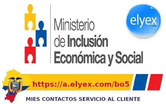 MIES Servicio al cliente Contactos Direcciones