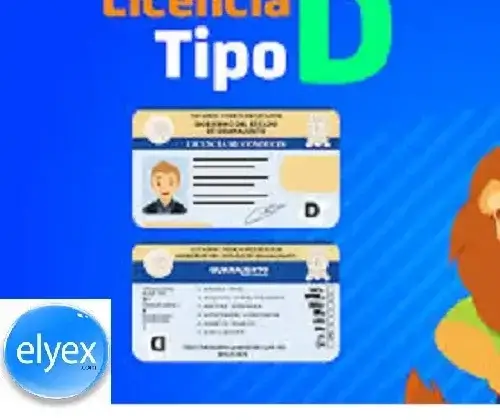 ANT Ecuador Preguntas para Licencia de Conducir tipo D