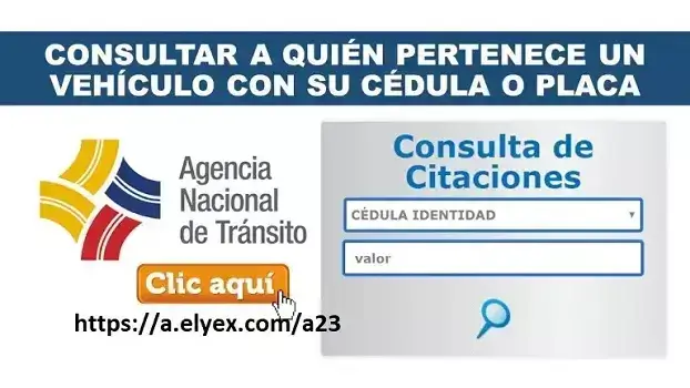 Consultar a quién pertenece un vehículo con su cédula o placa