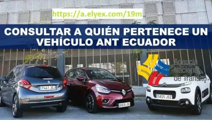Consultar a quién pertenece un vehículo por placa
