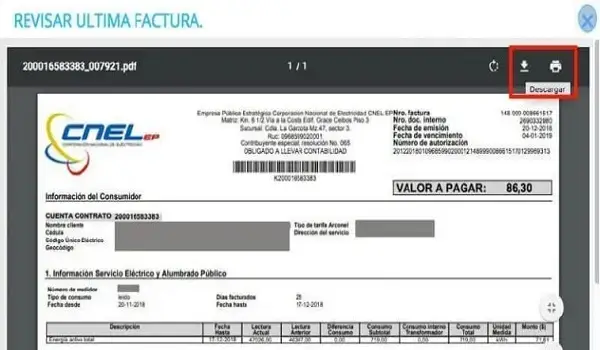 Consultar planilla de luz CNEL y pago en línea