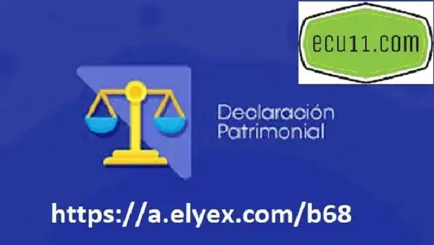 Anexo de Declaración Patrimonial SRI