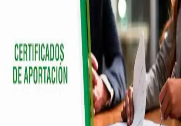 Certificado de Aportación: Qué es, para qué sirve