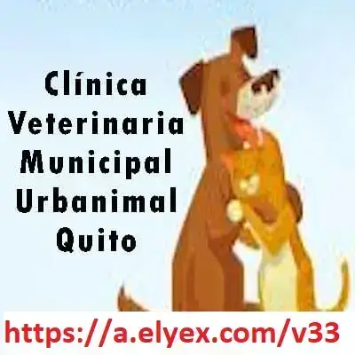 Clínica Veterinaria Municipal Urbanimal Quito