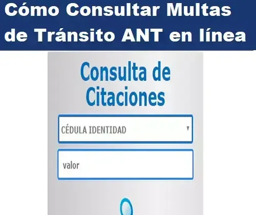 Cómo Consultar Multas de Tránsito ANT en línea