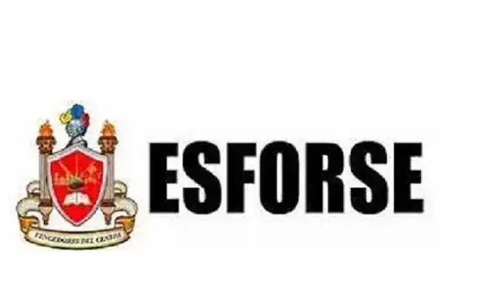 Descargar pruebas académicas ESFORSE