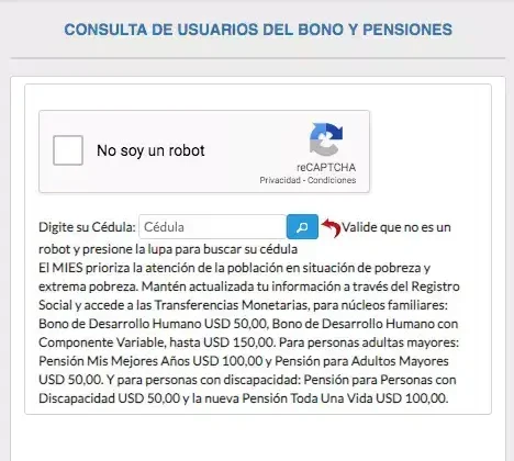 Bono de Contingencia 2020 MIES