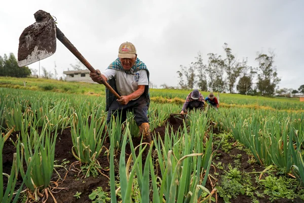Así se puede acceder al bono Raíces de $ 1000 en Ecuador